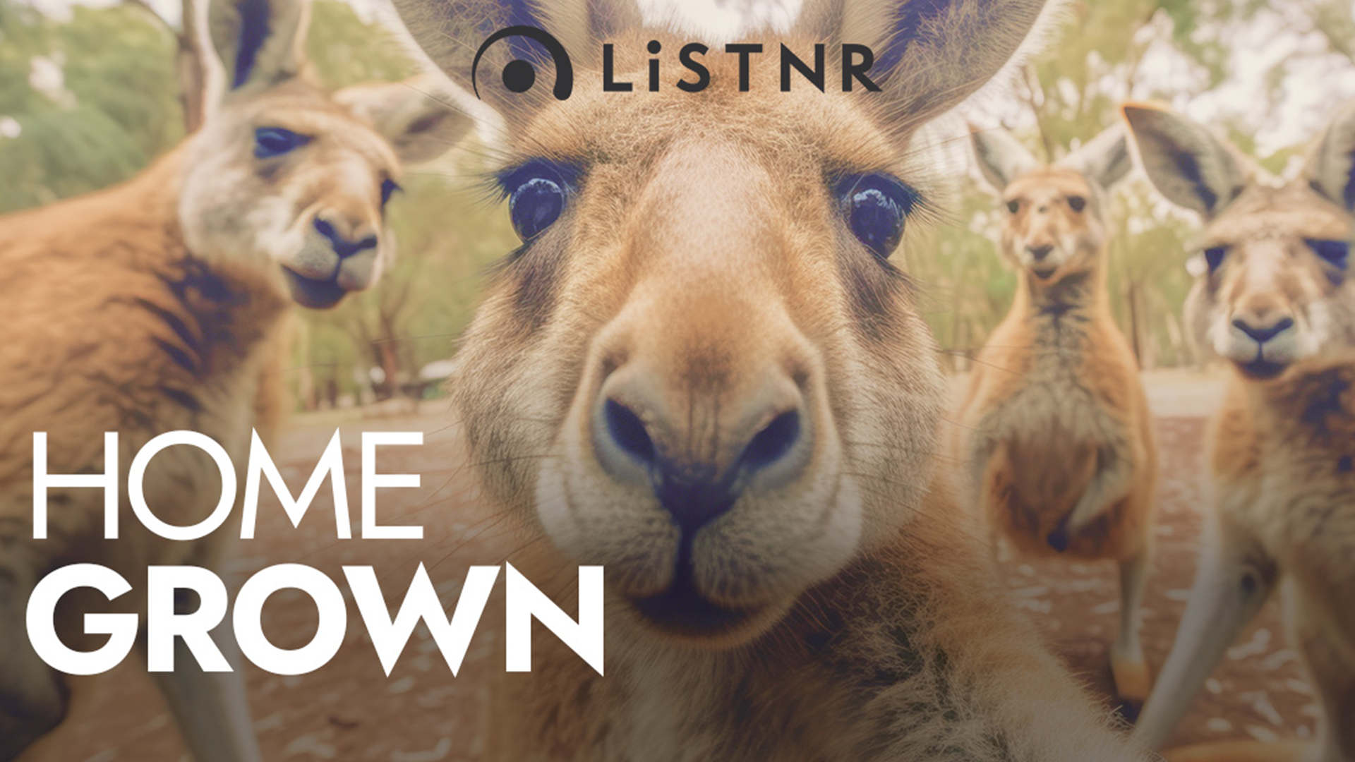 Nothing but Aussie hits and homegrown favourites.
