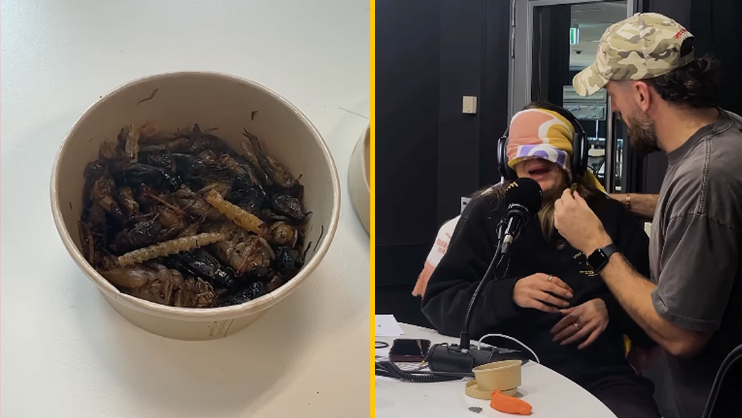 Jarch had to eat a whole chicken, so he made Lu eat an insect…